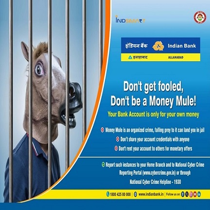 Don't be a Money Mule