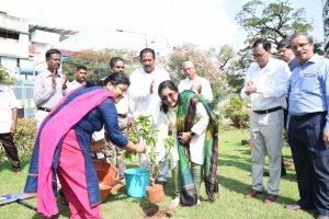 4 लाख से अधिक पौधे लगाए 