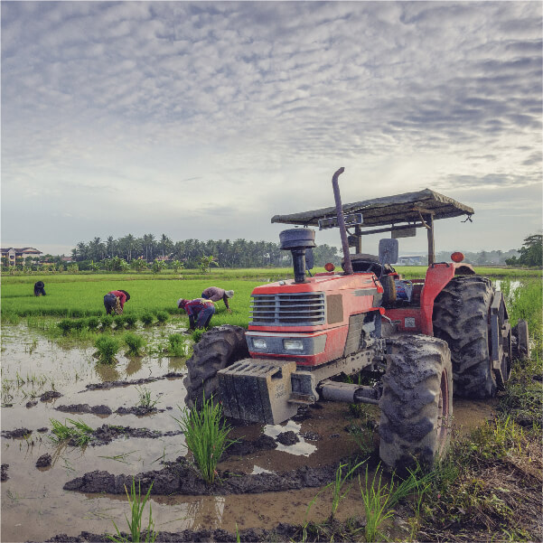 Financing Agriculturists for Purchase of Tractors and Other Farm Machinery