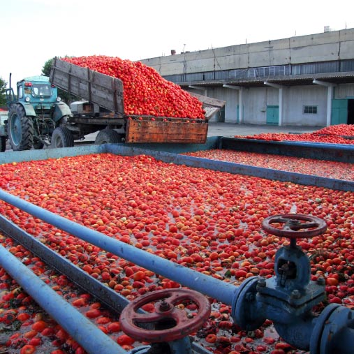IND Micro Food Processing Enterprises- (PMFME)
