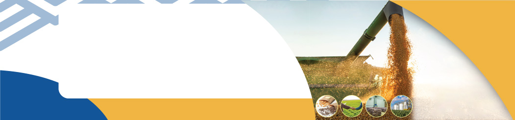 Page Banner Image
